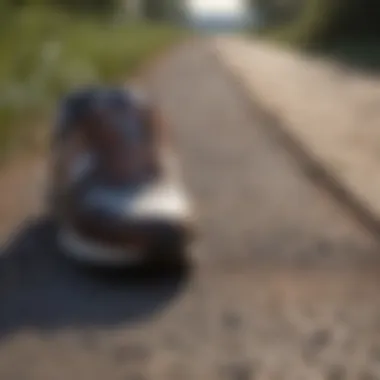 Close-up of walking shoes on a path