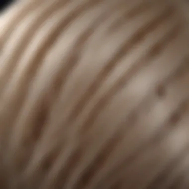 Close-up of high-quality lace front wig fibers demonstrating texture and craftsmanship