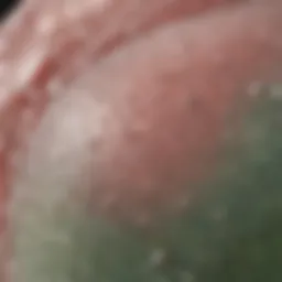 Close-up of Biossance Probiotic Gel texture