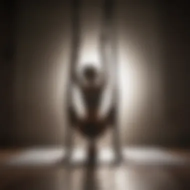 Silhouette of a person in aerial yoga pose