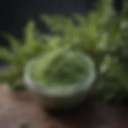 Natural ingredients for itchy hair remedy