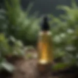 Botanical Ingredients in Bug Sprays