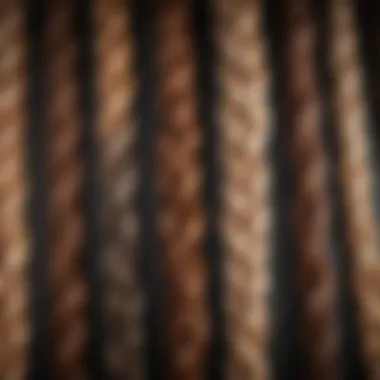 Variety of Braid Styles