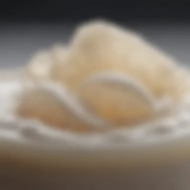 Close-up of key ingredients in Dove shampoo