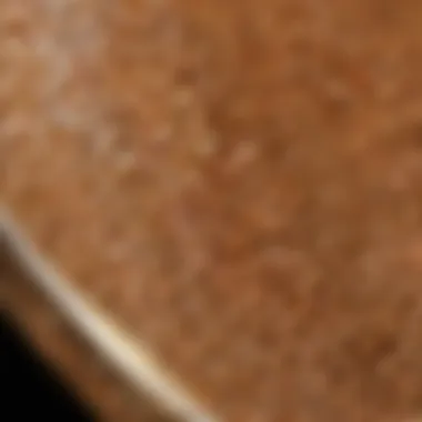 The Luxurious Texture of Flaxseed Gel Smooth and shiny flaxseed gel showcasing its texture