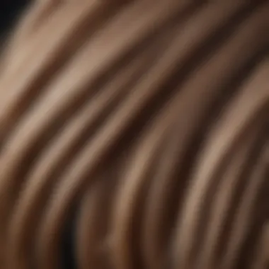 Close-up of hair strands featuring a blend of soft highlights and lowlights.