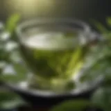 A vibrant cup of green tea surrounded by fresh leaves, symbolizing metabolism enhancement.