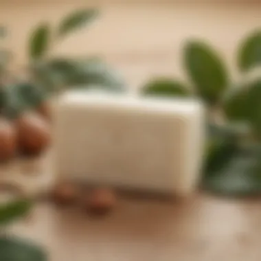 Natural ingredients used in L’Occitane Shea Butter Soap with shea nuts and leaves