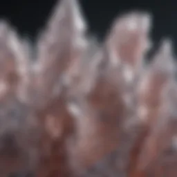 Close-up of salicylic acid crystals