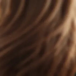 Close-up of healthy hair strands reflecting light