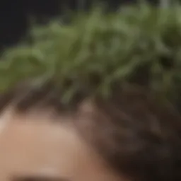 Herbal Hair Growth Remedies
