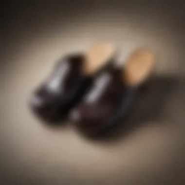 Top view of high-quality dressy clogs