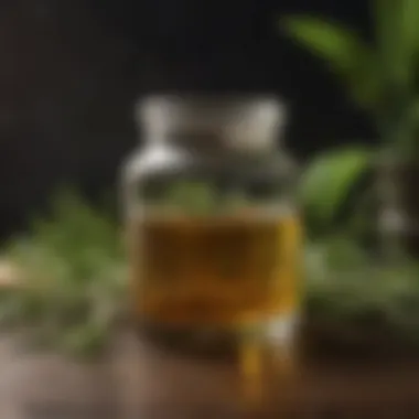 Botanical Infusion for Root Strengthening Herbal Elixir for Strengthening Hair Roots