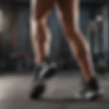 Mastering Leg Day Movements Leg Day Exercise Techniques