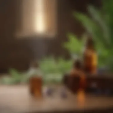 Soothing Aromatherapy Essential Oils Relaxing Aromatherapy Essential Oils