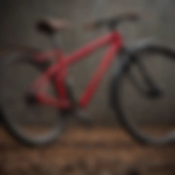 Artistic angle showcasing a bicycle in repose