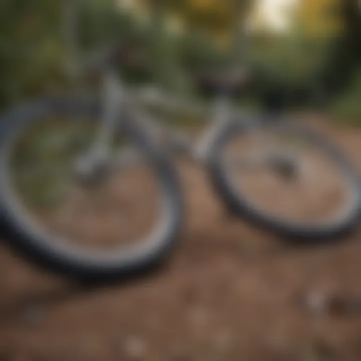 Elegant bicycle resting gracefully on the ground