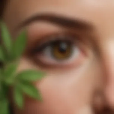 A close-up of soothing herbal infusions known for their eye health benefits