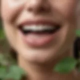 Organic herbal ingredients for teeth whitening