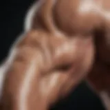 Sculpted arm muscles in focus