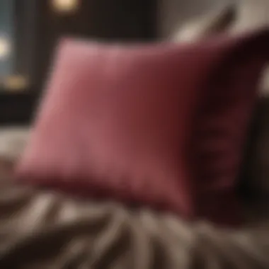 Sumptuous Velvet Pillow Cover Soft and cozy velvet pillow cover