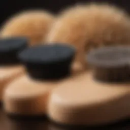 Close-up of Spa Sonic brush heads showcasing bristle variety