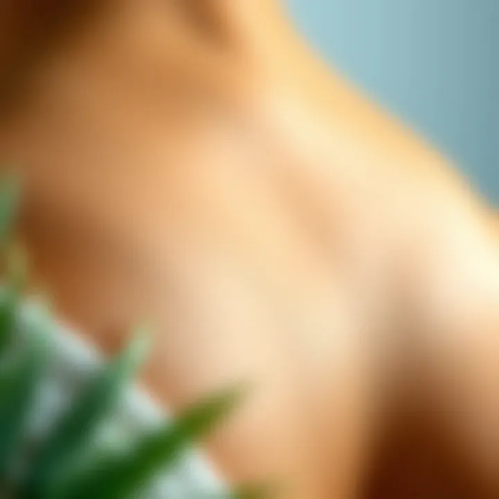 Topical Treatments for Stretch Mark Reduction Natural oils and creams for skin care