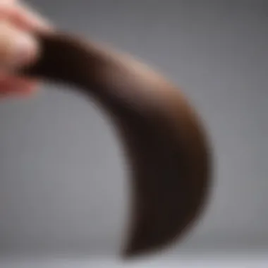 Hair Strand Color Test Test strand of hair dyed with a selected color