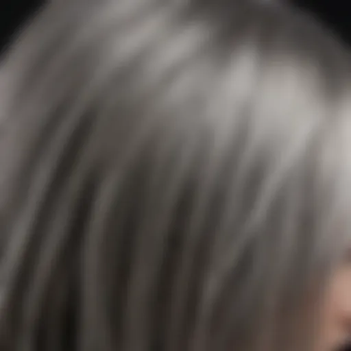 Close-up of ash grey hair strands reflecting light