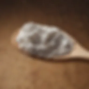 Close-up of collagen powder on a wooden spoon