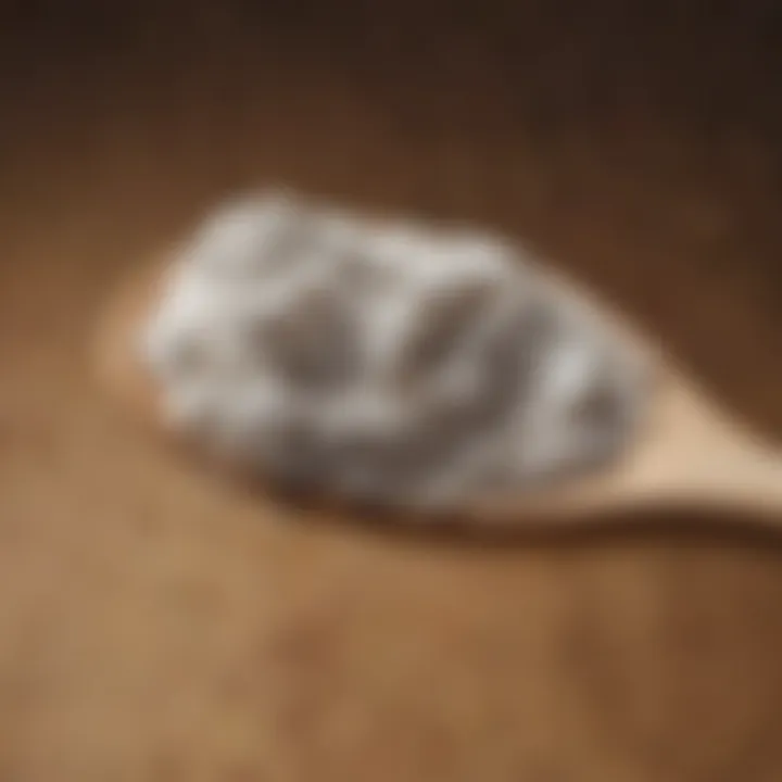 Close-up of collagen powder on a wooden spoon