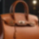 Luxurious Hermes Birkin Bag in Epsom leather