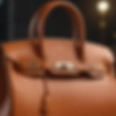 Luxurious Hermes Birkin Bag in Epsom leather