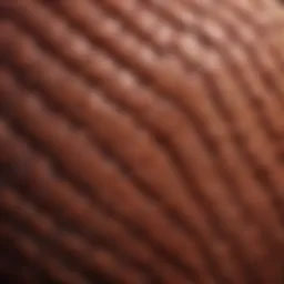 A close-up view of scaly skin texture highlighting its uneven surface