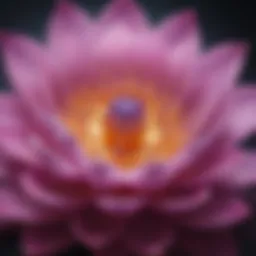 Illustration of a vibrant lotus flower symbolizing the Crown Chakra