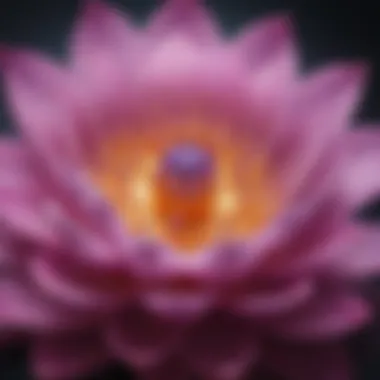 Illustration of a vibrant lotus flower symbolizing the Crown Chakra