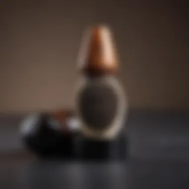 Luxury Beard Brush for Stylish Maintenance Beard Brush for Grooming